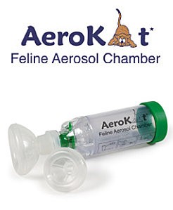 Aerosol-felin-asthme.jpg