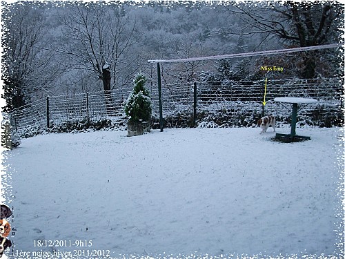 2011 18 12 1ere neige 4