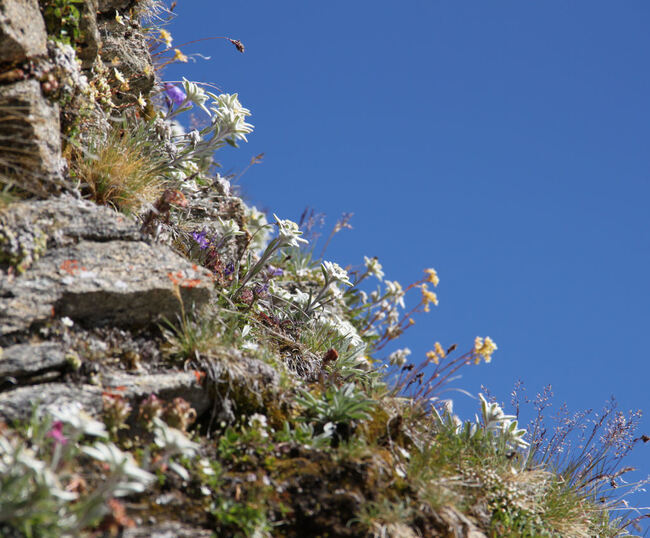 Val de Bagnes