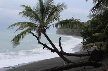 Costa Rica : la côte Pacifique