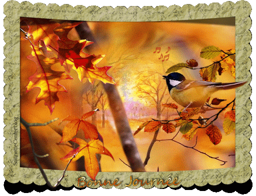 Bonne journée d'automne - belle journée d'automne gif