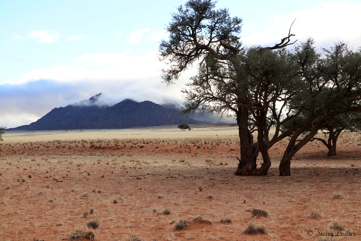 Erg du Namib, la dune Elim