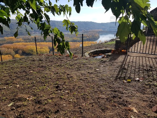 Visite du futur potager