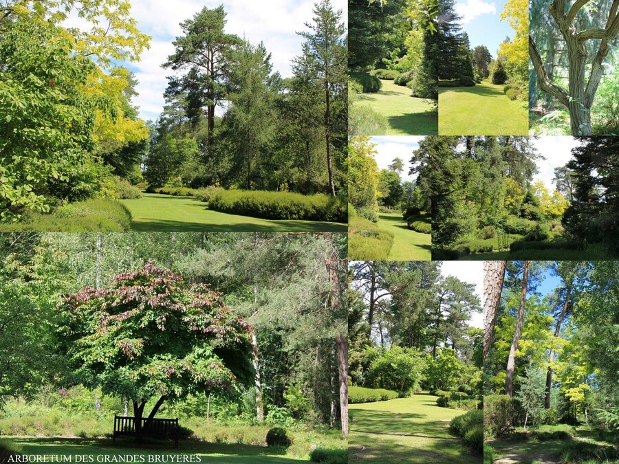 Arboretum des Grandes bruyères