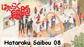 Hataraku Saibou 08