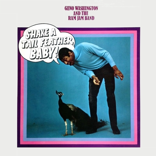 Geno Washington & The Ram Jam Band : Album " Shake A Tail Feather Baby ! " Piccadilly Records NSPL 38029 [ UK ]