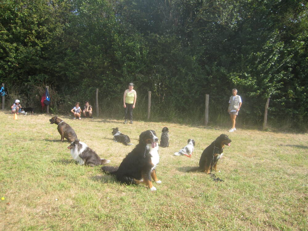 Entraînement du dimanche 14 juillet