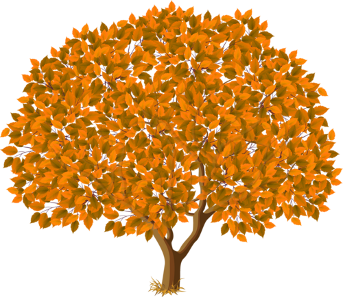 arbres PNG