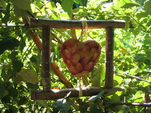 Un coeur de roses