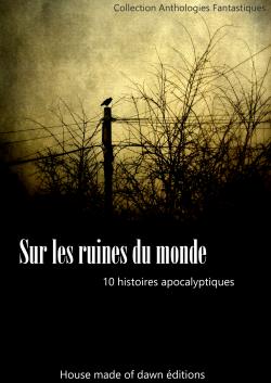 Sur les ruines du monde (Collectif auteurs)