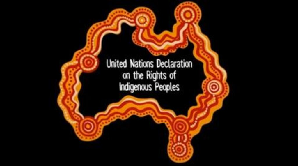 The Declaration on the Rights of Indigenous Peoples (
