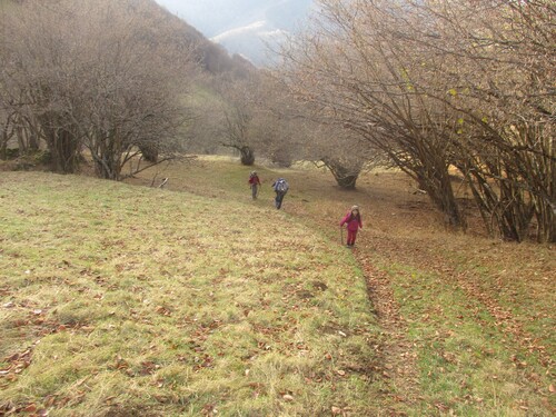 Cabane (1 nuit) : Pale Grande & col de Consires (le Couéou) - 31