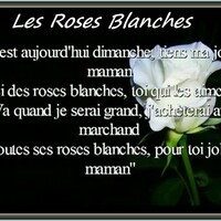 FETE DES MERES : "Les Roses Blanches" - chezmamielucette