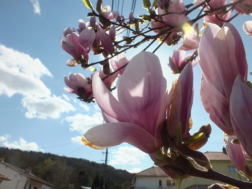 La Quentinoise (12 Avril 2015)