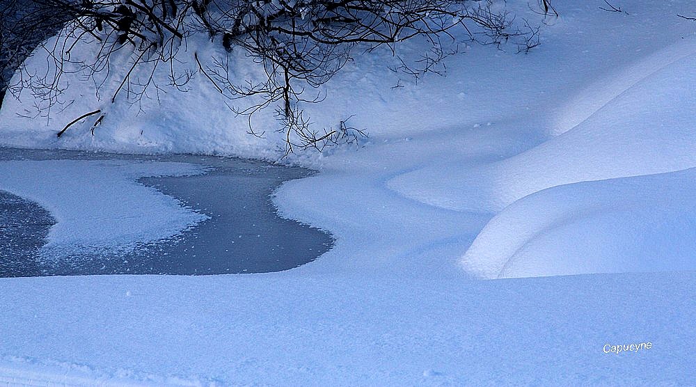 Neige : Ombres et lumières