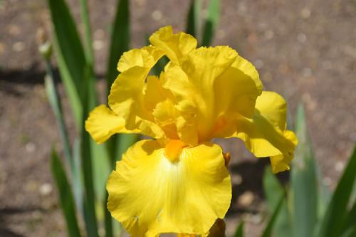 Le cartoscope du mercredi 2 octobre 2019