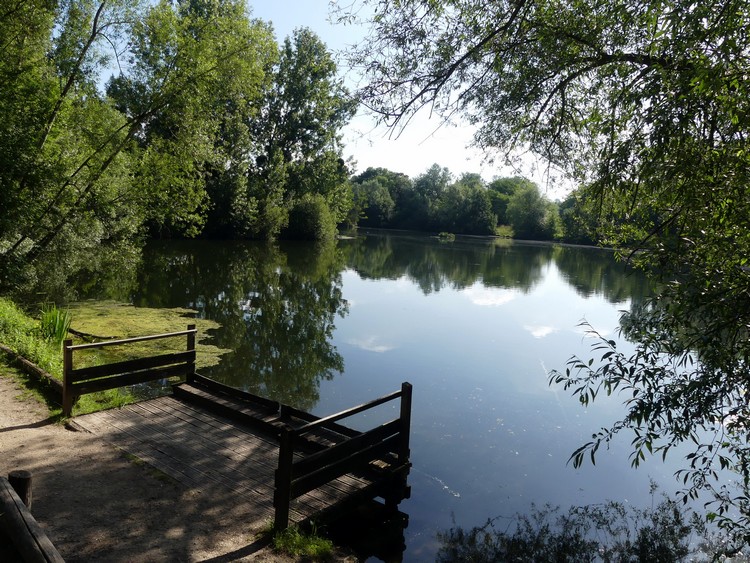 Étang de Saint-Michel-sur-l'Orge