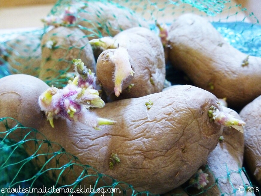 Les pommes de terre Pompadour