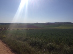  * 10ème étape : Najera à Santo Domingo de la Calzada