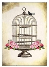 cage Ã  oiseaux
