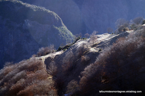 Maux de gorges