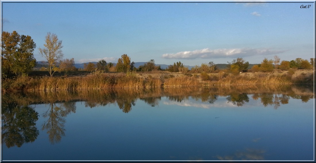 Reflets d'Automne