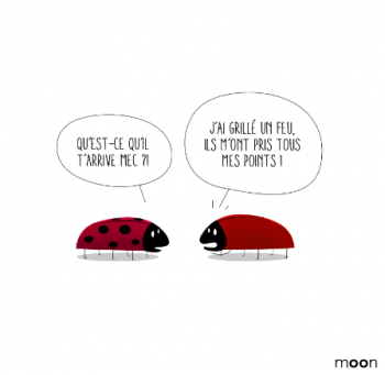 Et s'il était urgent de prendre votre temps ?