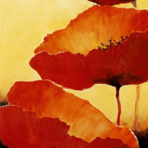 Poppies by Lulu 123