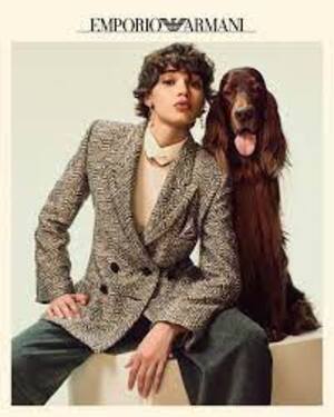 mode fashion dogs fashion fashion fashion dogs 