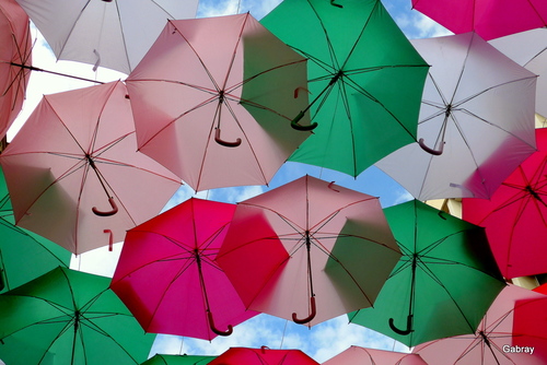 Toulouse : les parapluies ...