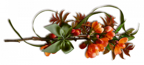 Mi semaine et encore une et le mois est fini ça va trop vite