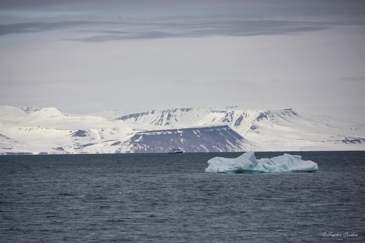 Blue ice, baby's got blue ice