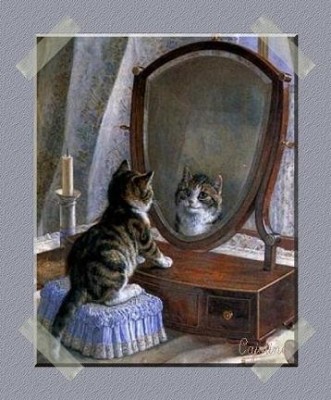 Chat se reflète dans un miroir - Béa Kimcat Blog Bis
