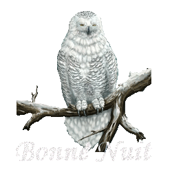 Mes Gifs saisonnier Bonne-nuit