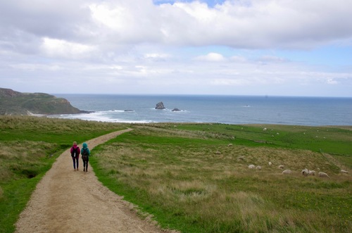 Jour 10 - Otago Peninsula