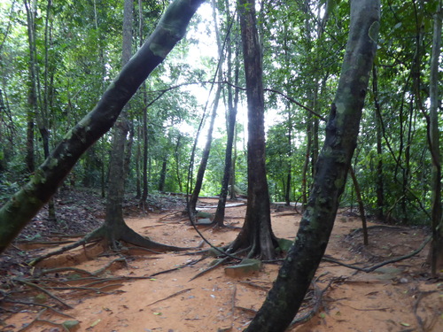 J15, Site de Kbal Spean, Cambodge