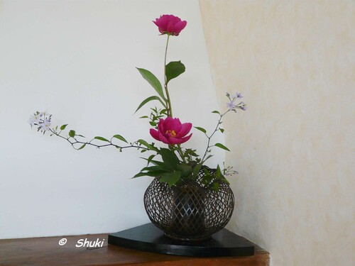 Composition florale- 18-06-13-