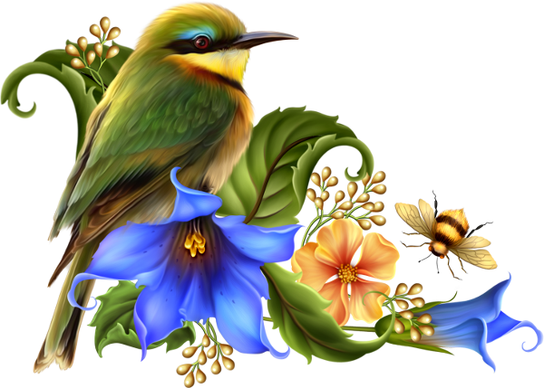 animated flowers and birds