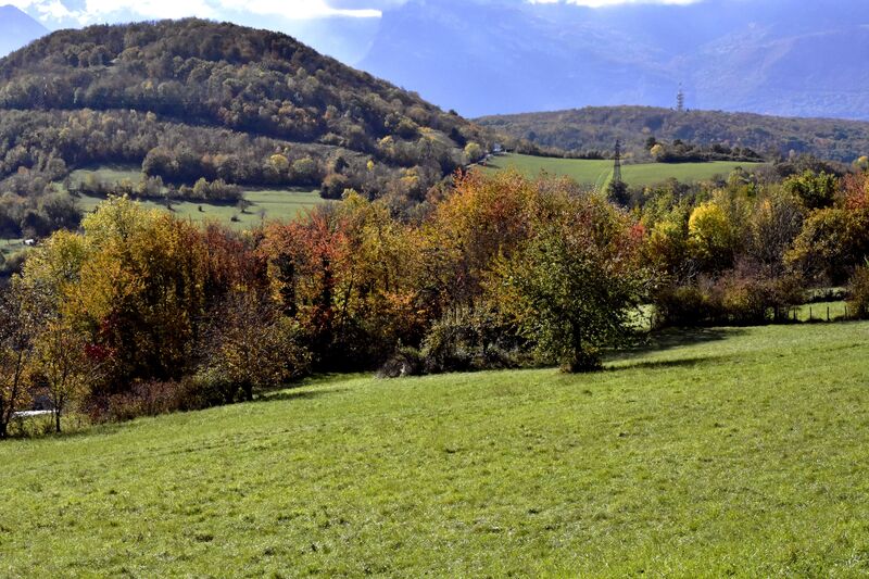 2020.10.27 Dans la campagne du village de Angonnes (département Isère) 