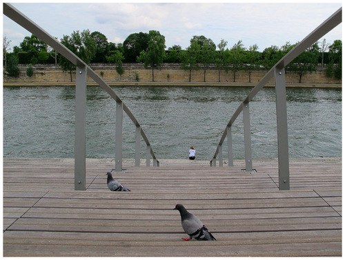 On  n’est pas (que) des pigeons