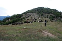 Vlahi dans le massif du Pirin