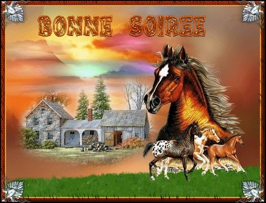 BONNE  SOIREE  2