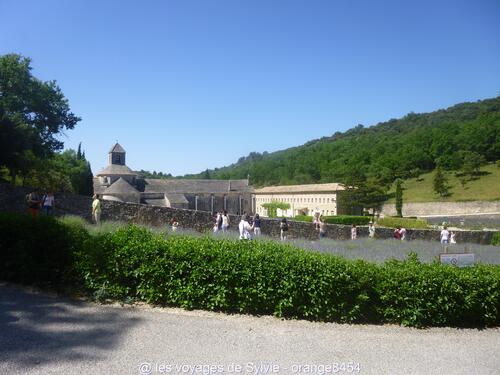 Abbaye Notre-Dame de Sénanque