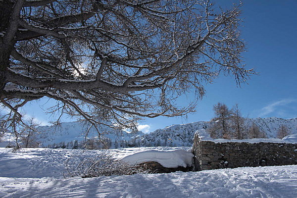 neige-2011 3070
