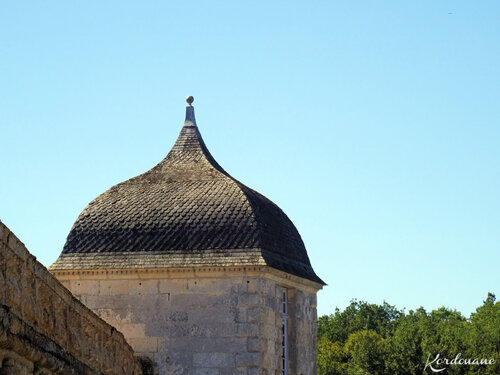 Photos château de la Roche-Courbon - détails