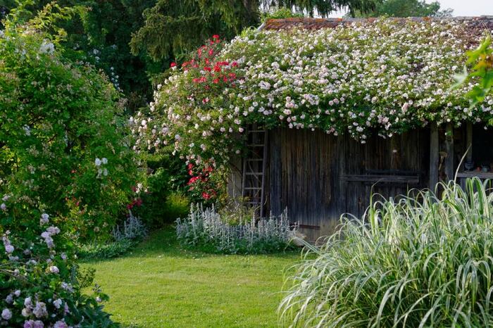 Le jardin préféré des Français (1/2) : Le Jardin d'Entêoulet