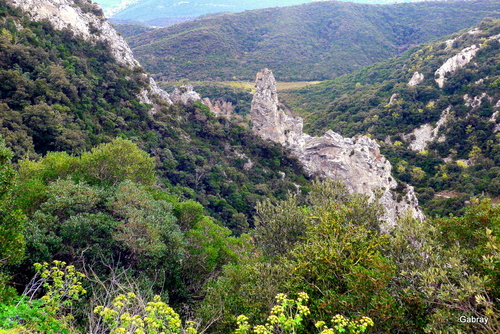 Galamus : les gorges ... n 1