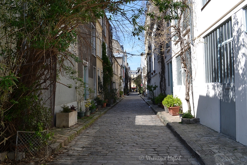 Rue des Thermopyles, le charme bucolique du 14éme