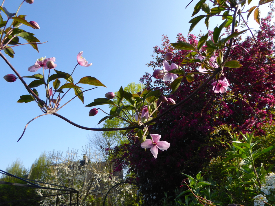 Pause avec les dernières fleurs