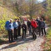 12 novembre 2019 - forêt de Saoû